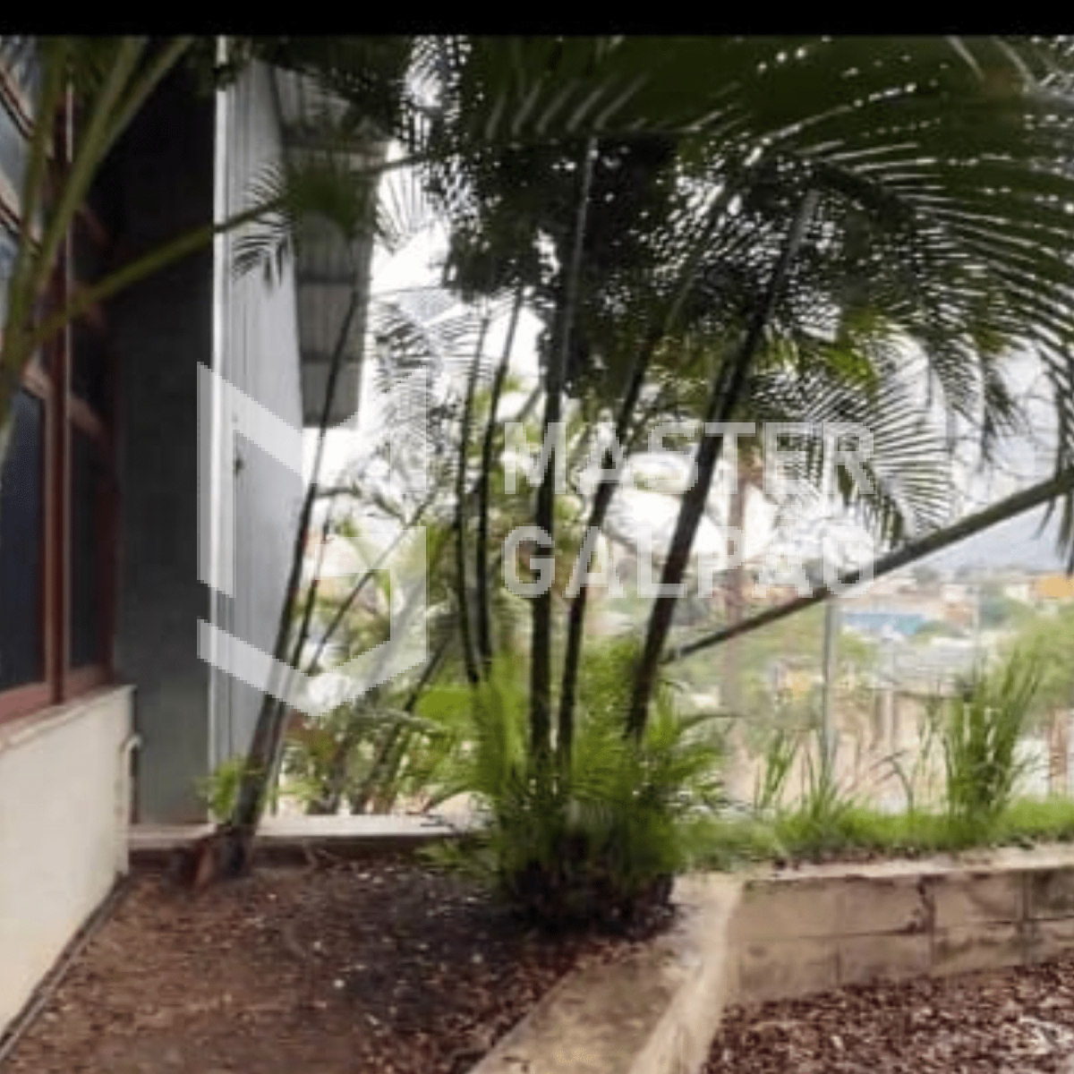 Galpão de 2.500m² | São Francisco – Belo Horizonte/MG