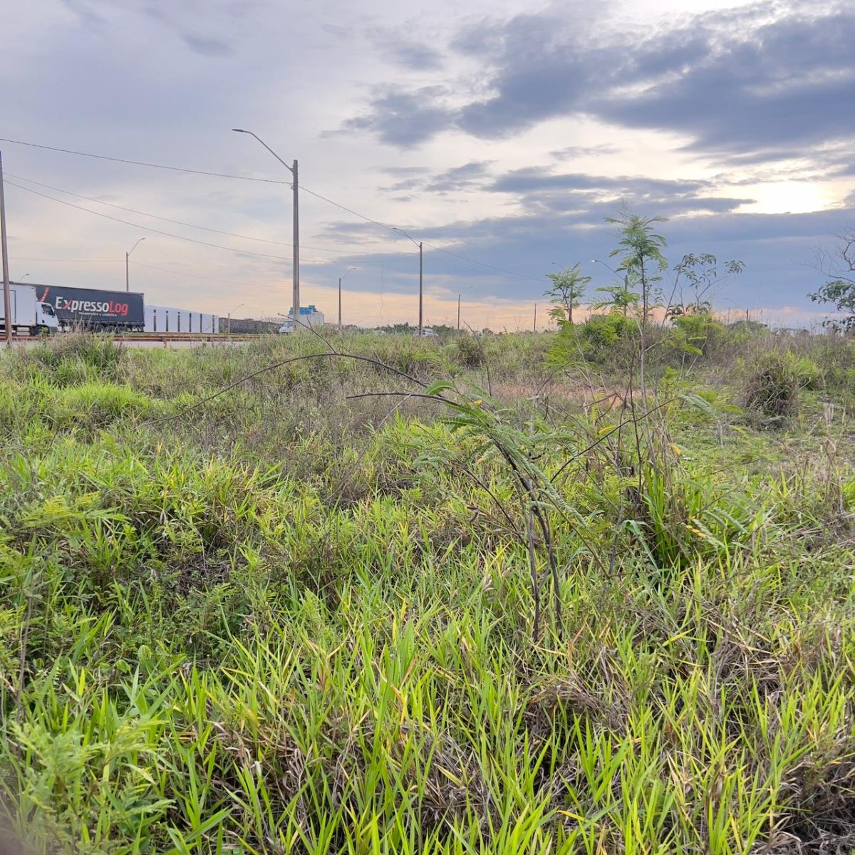 Terreno Industrial de 13.000m² à Venda – Margens da BR-262, Betim/MG