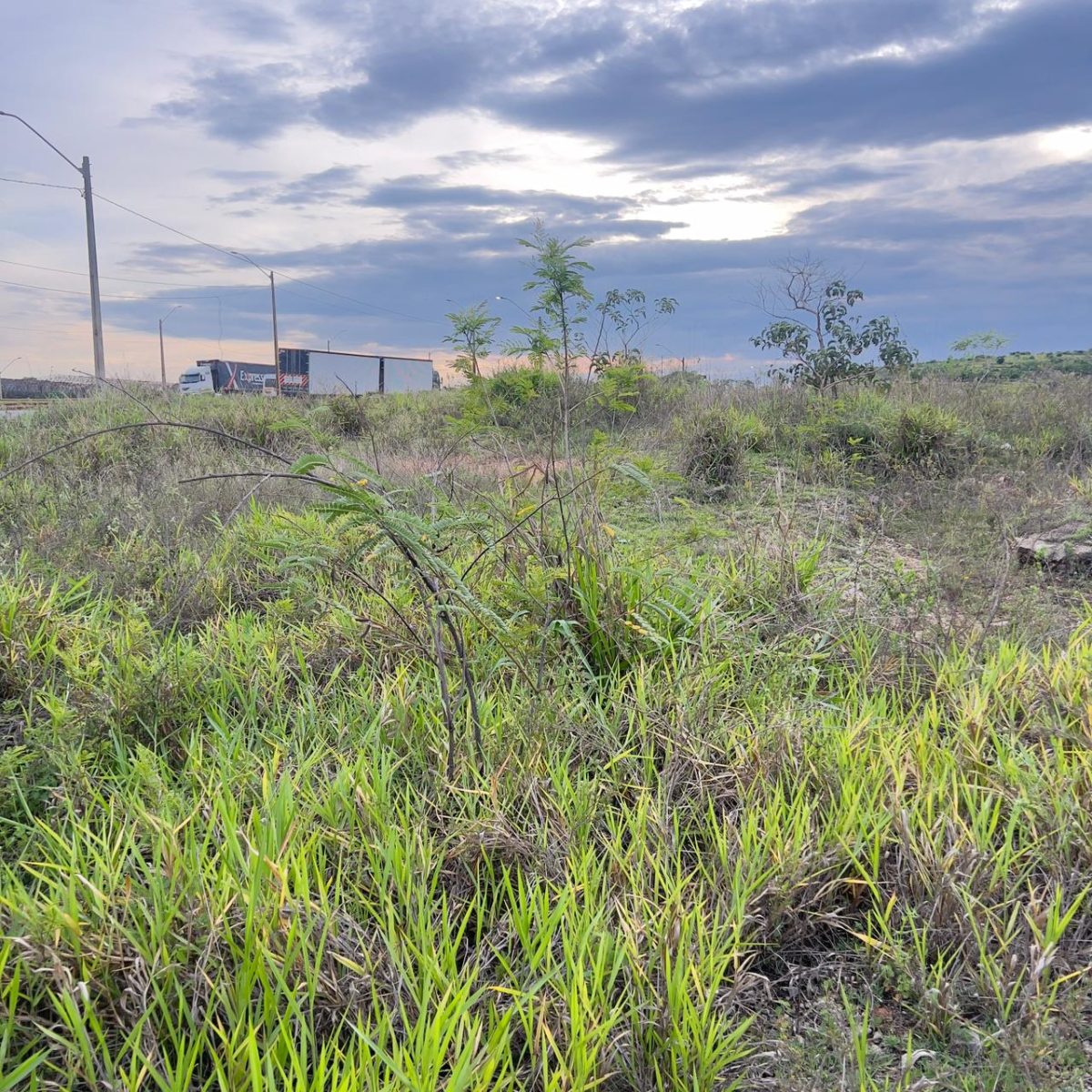 Terreno Industrial de 13.000m² à Venda – Margens da BR-262, Betim/MG