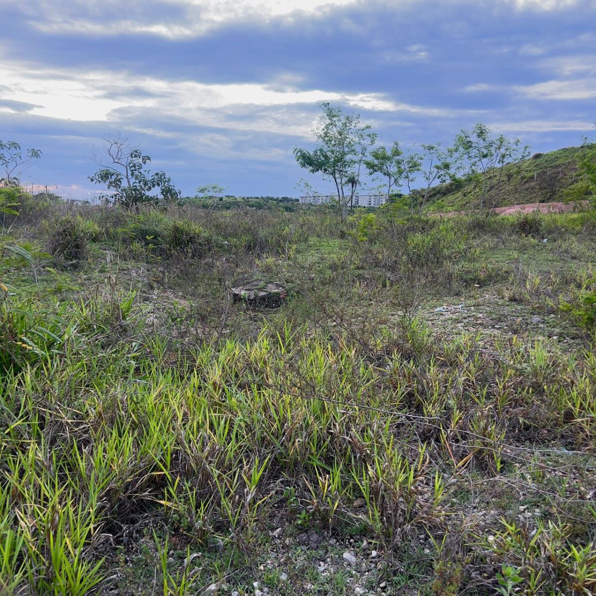 Terreno Industrial de 13.000m² à Venda – Margens da BR-262, Betim/MG