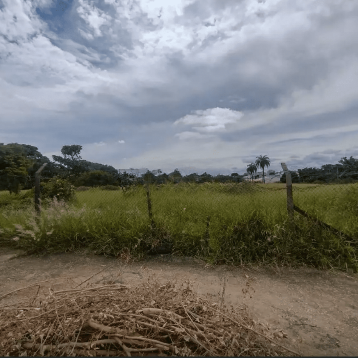 Terreno de 22.556m² Plano e Firme