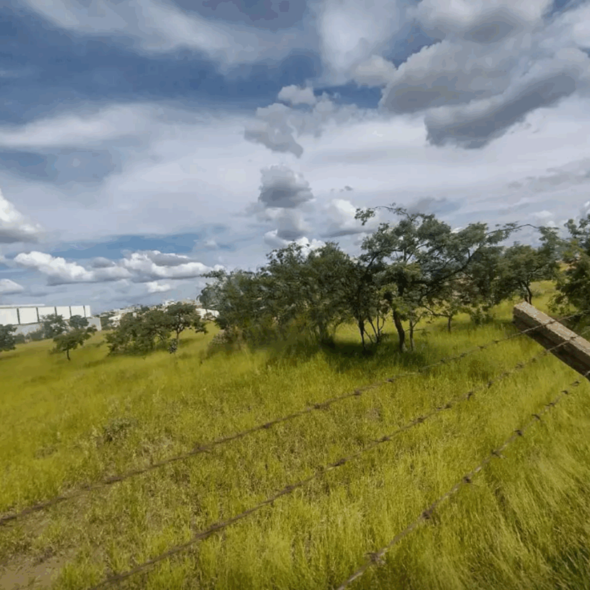 Terreno de 22.556m² Plano e Firme