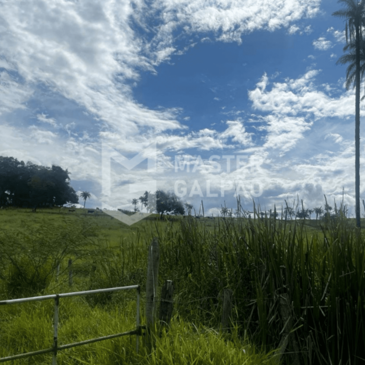 Área de 22.800m² | Bandeirinhas – Betim/MG