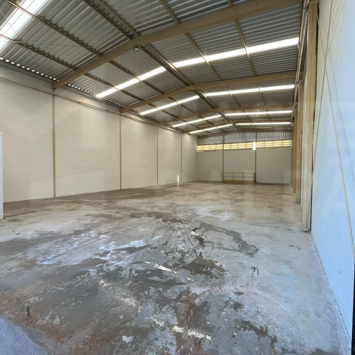 Galpão para Locação em Igarapé | 300 m² com Porão