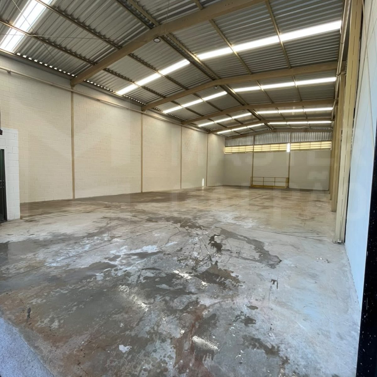 Galpão para Locação em Igarapé | 300 m² com Porão