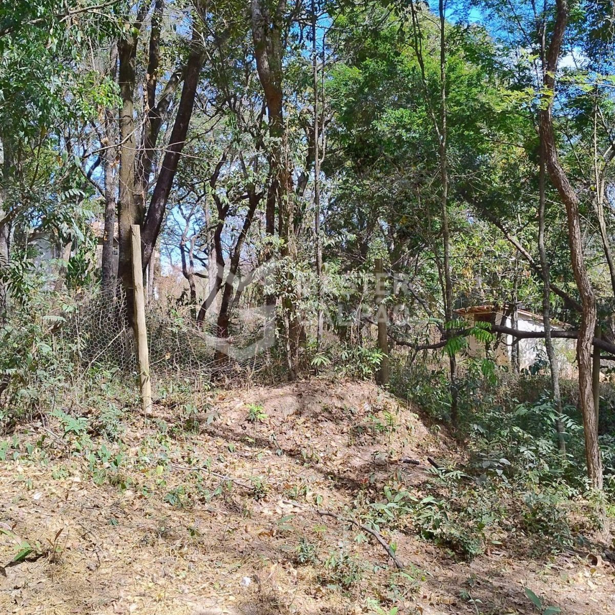 Oportunidade de investimento em Chácaras Campestre