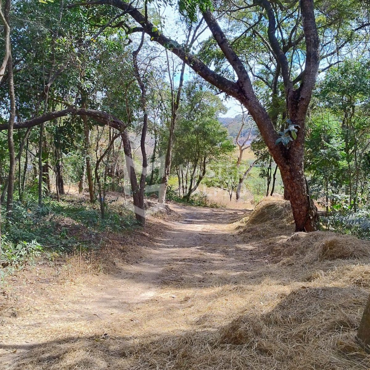 Oportunidade de investimento em Chácaras Campestre