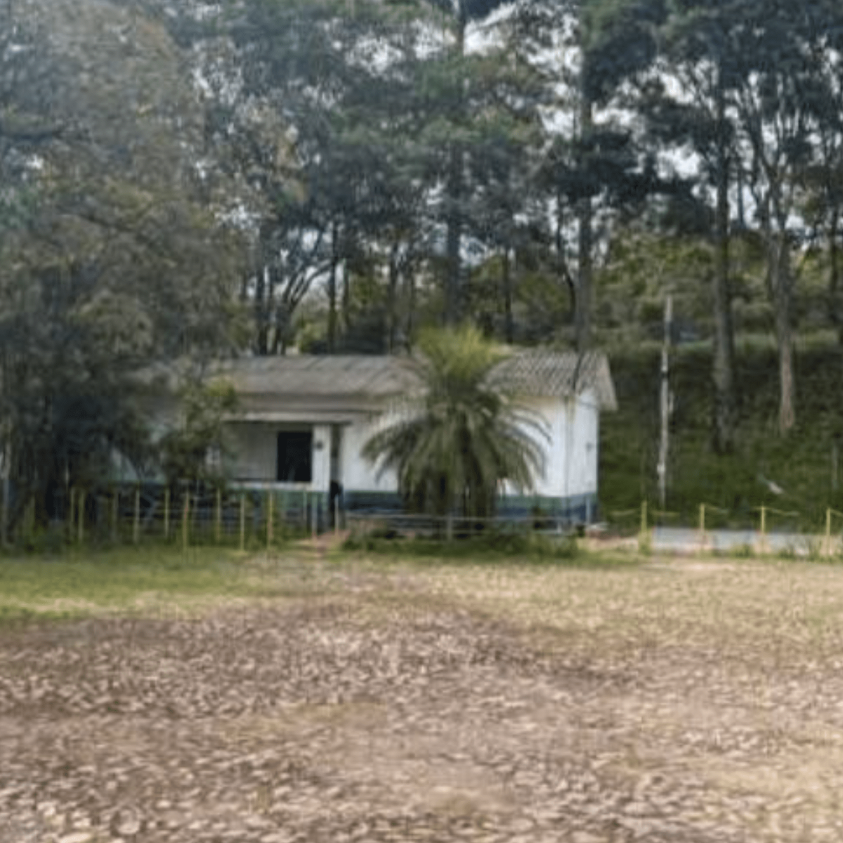 Área com galpões e infraestrutura | Ouro Preto/MG