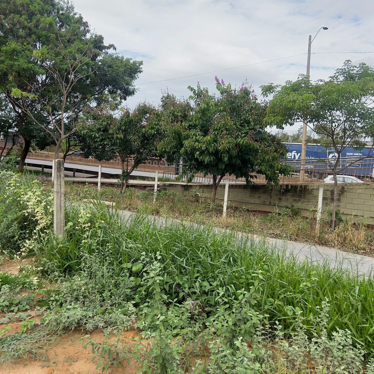 Lote de 440m² às Margens da BR-381