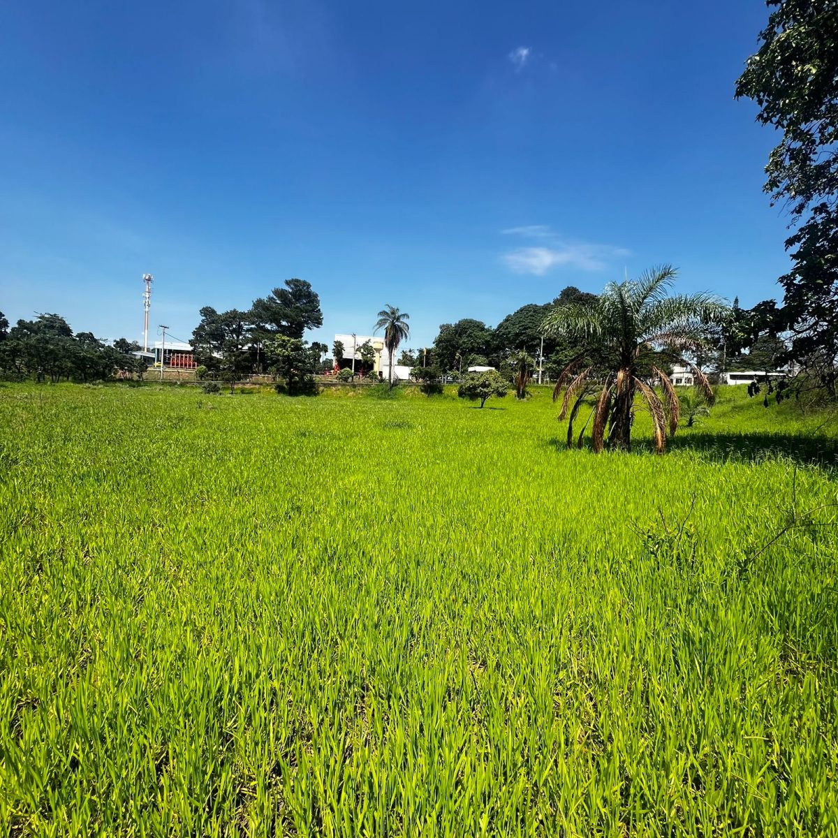 Terreno de 22.556m² Plano e Firme