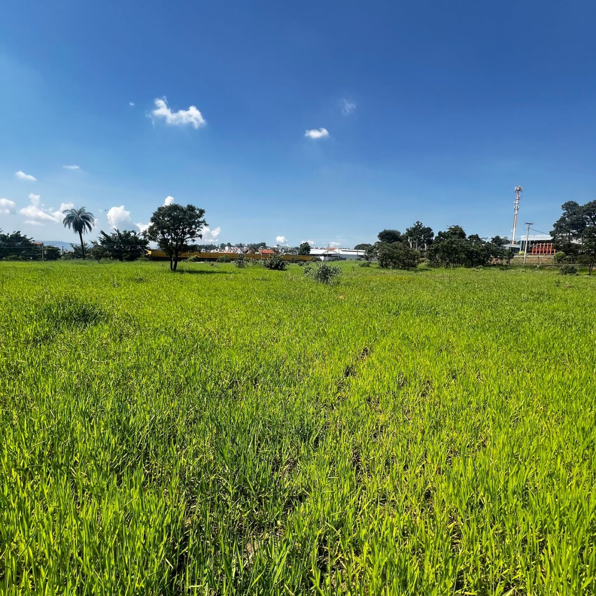 Terreno de 22.556m² Plano e Firme