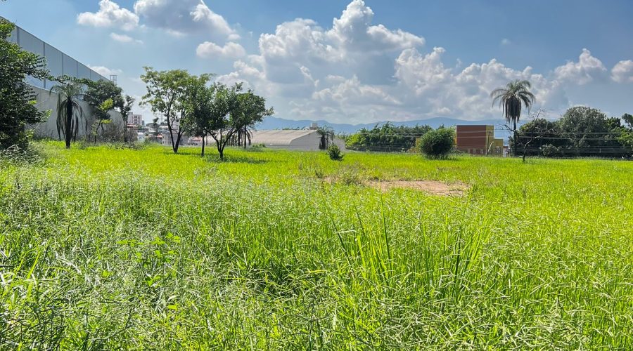 Terreno de 22.556m² Plano e Firme