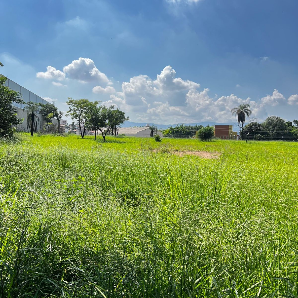Terreno de 22.556m² Plano e Firme