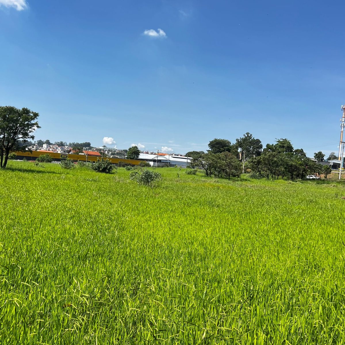 Terreno de 22.556m² Plano e Firme