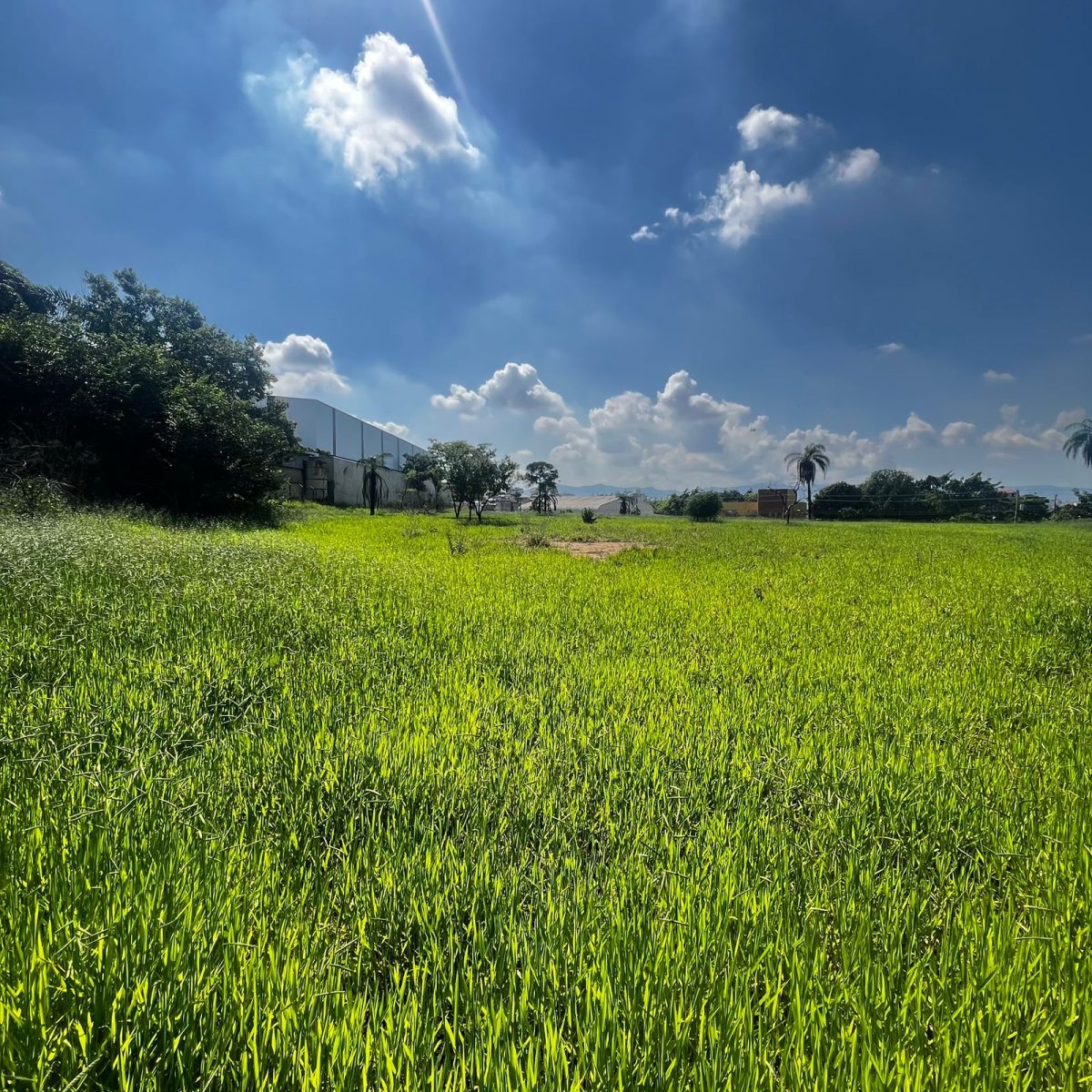 Terreno de 22.556m² Plano e Firme
