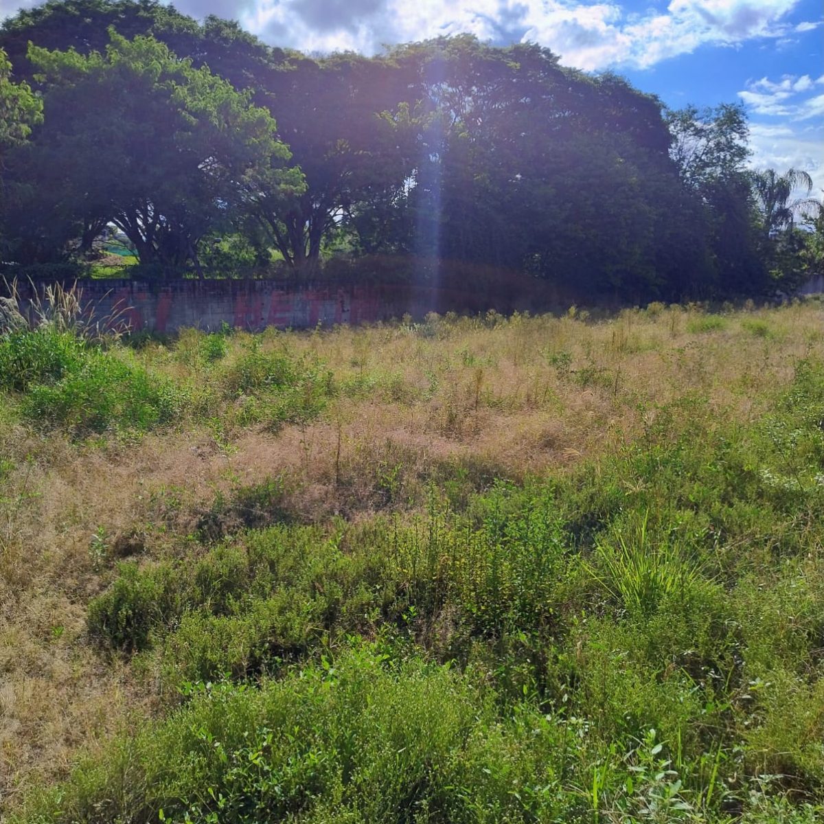 Terreno de 4.938m² em Frente ao SESI