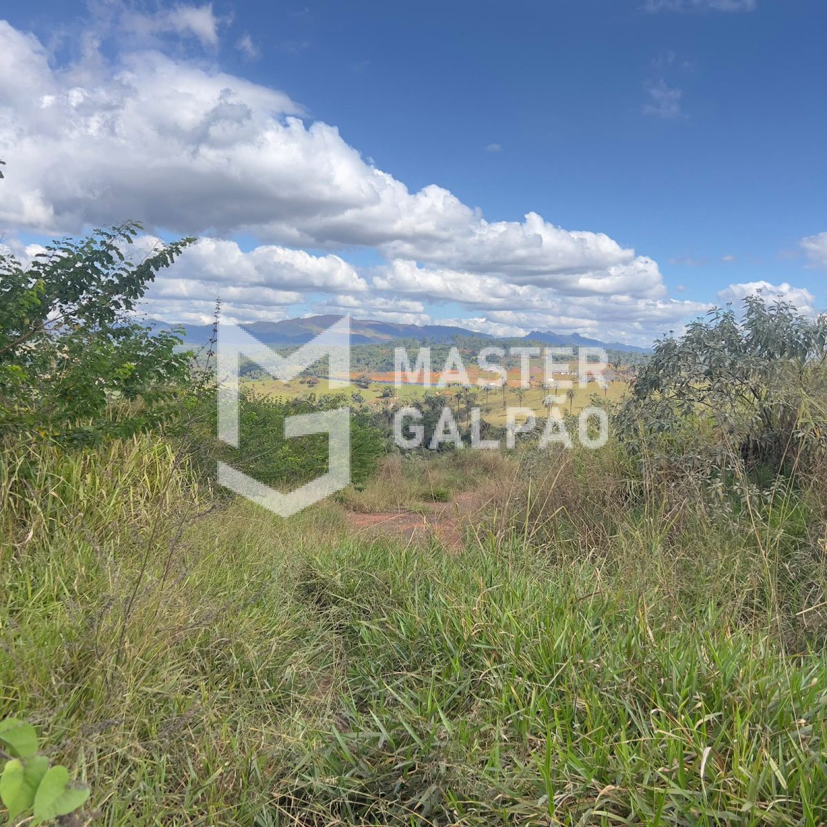 Terreno com Balança de 60t – Estrada do Terminal de Cargas