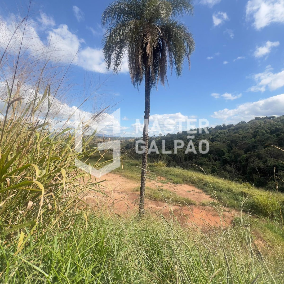 Terreno com Balança de 60t – Estrada do Terminal de Cargas