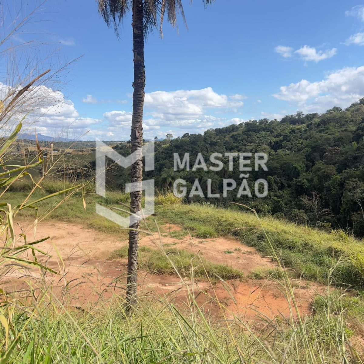 Terreno com Balança de 60t – Estrada do Terminal de Cargas