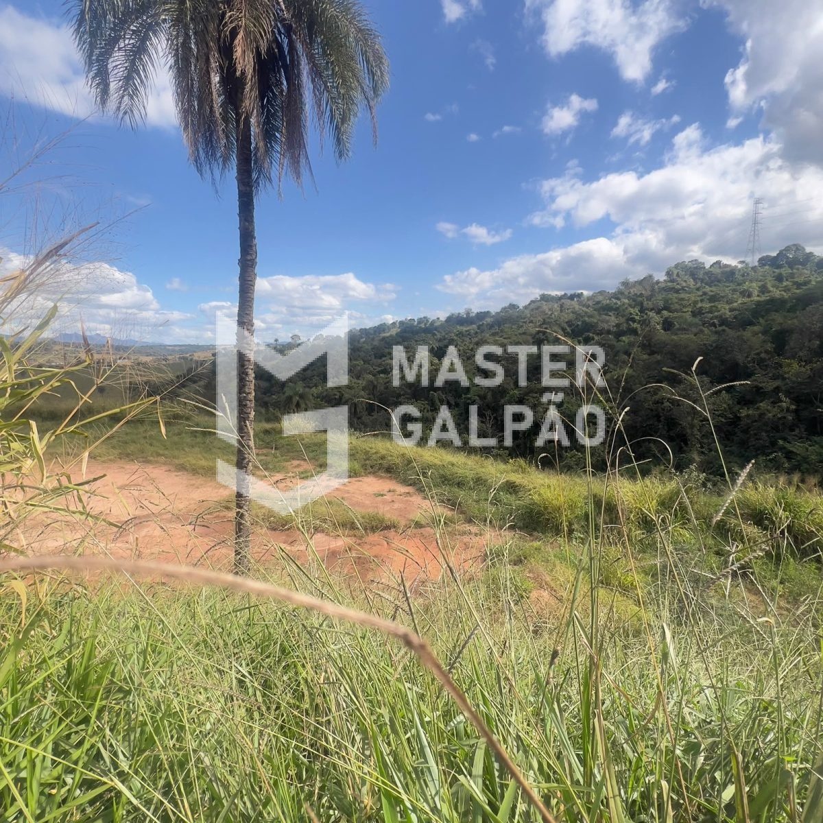 Terreno com Balança de 60t – Estrada do Terminal de Cargas