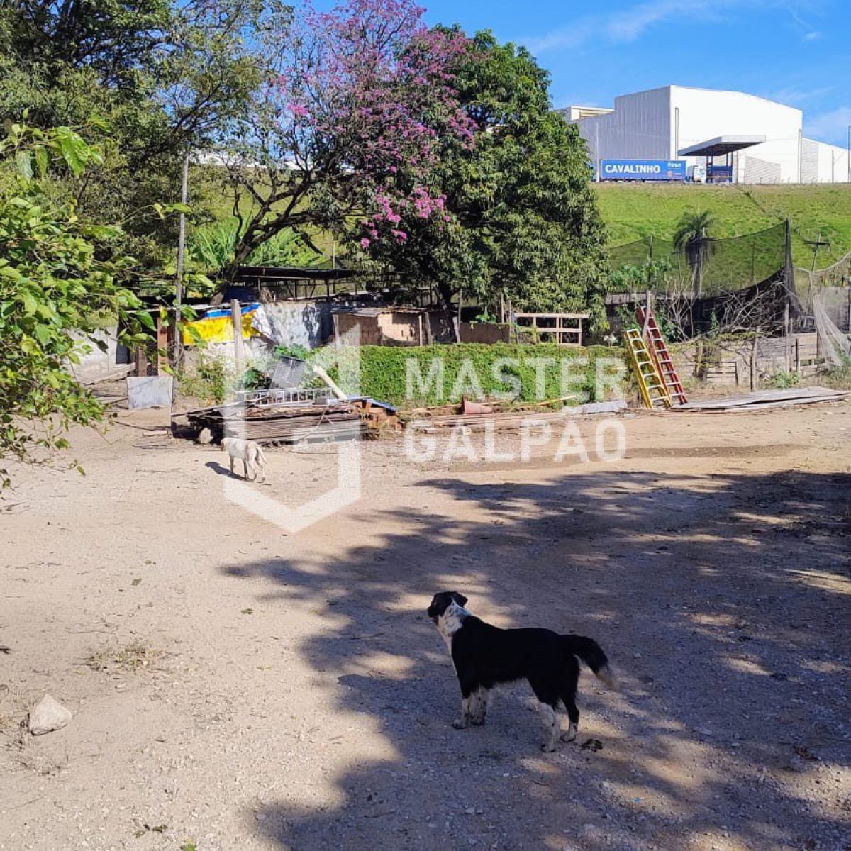 Área Industrial 24.000m² | Av. Juiz Marco Túlio Isaac – Betim/MG
