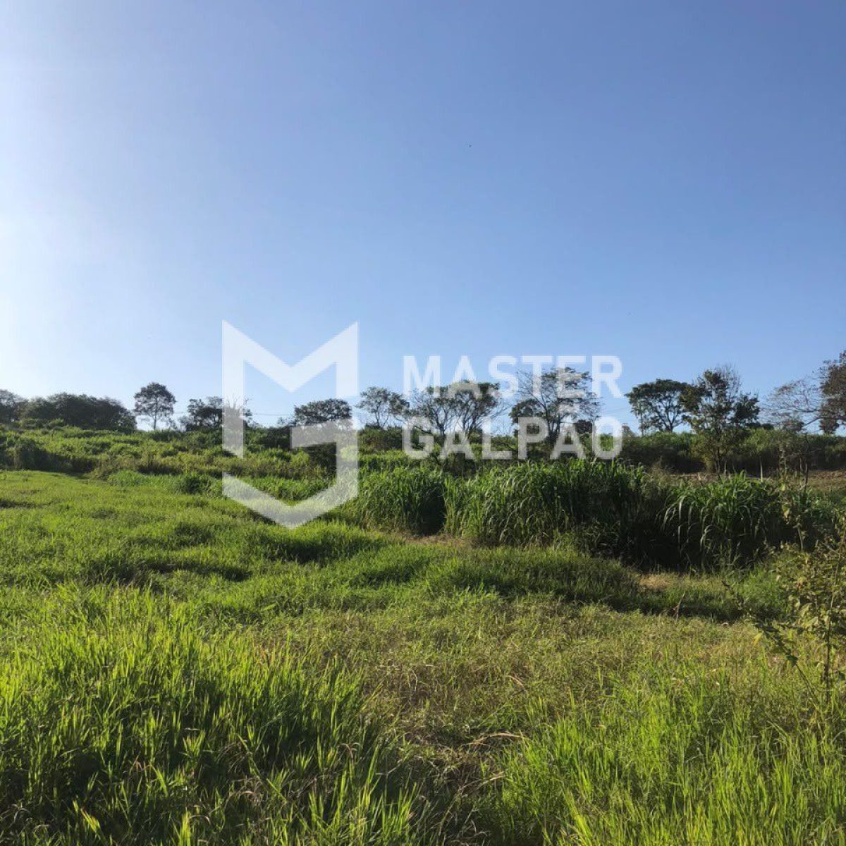 Área de 67.000m² – Petrovale Betim