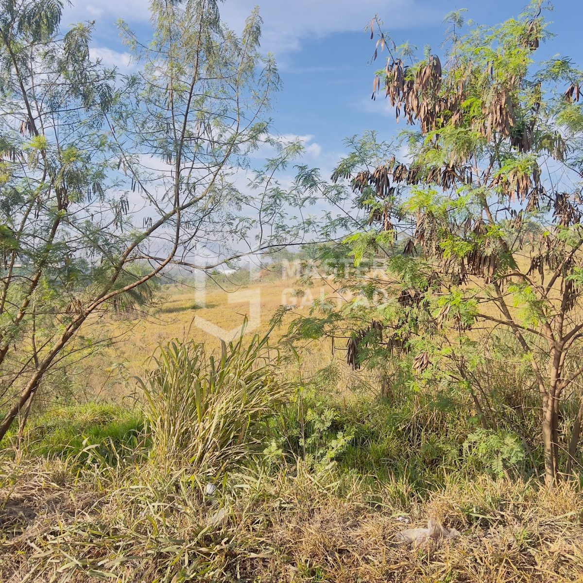 Frente para BR‑381/262 | Distrito Bandeirinhas – Betim/MG