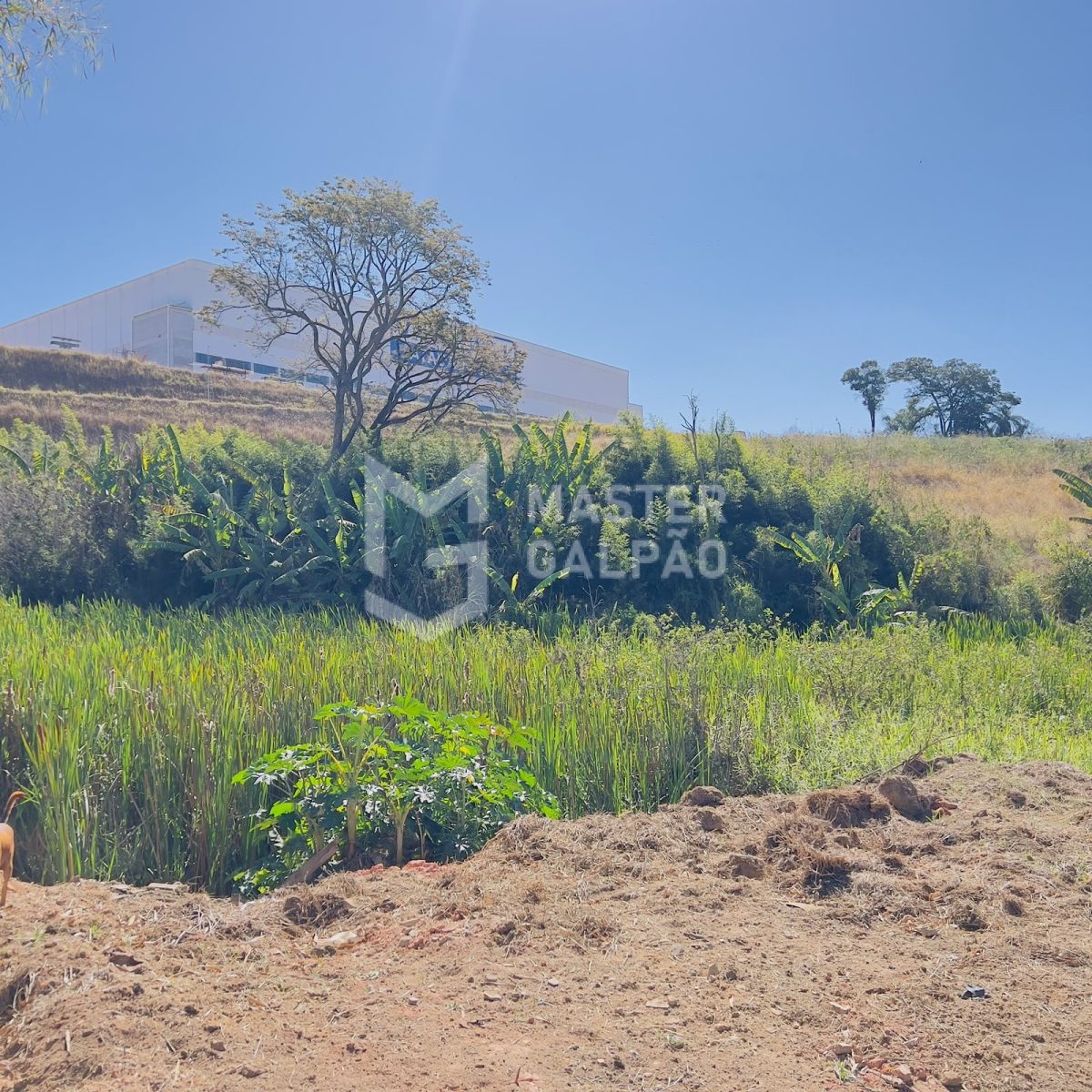 Área de 45.620m² ao lado da Tambasa